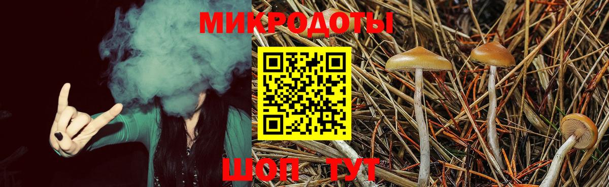 Галлюциногенные грибы Psilocybe  Вход с VPN  Отрадный  Псилоцибиновые грибы Cubensis 